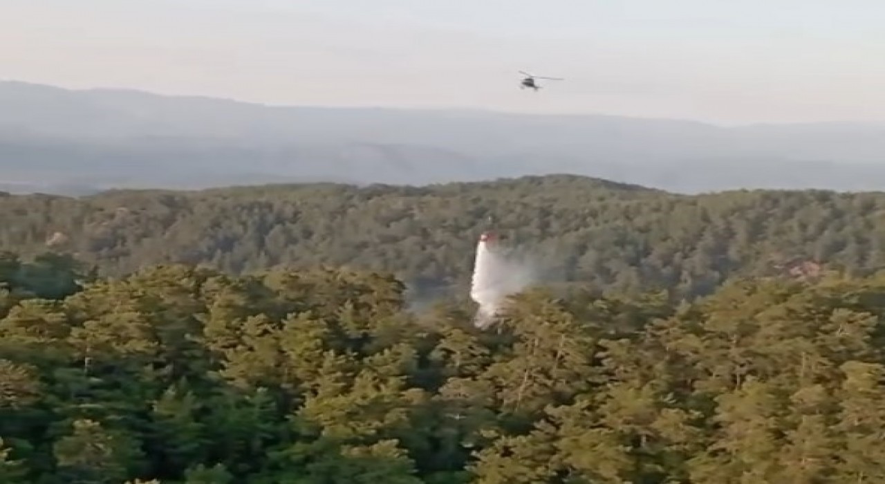Muğla ve Aydındaki orman yangınları büyümeden söndürüldü