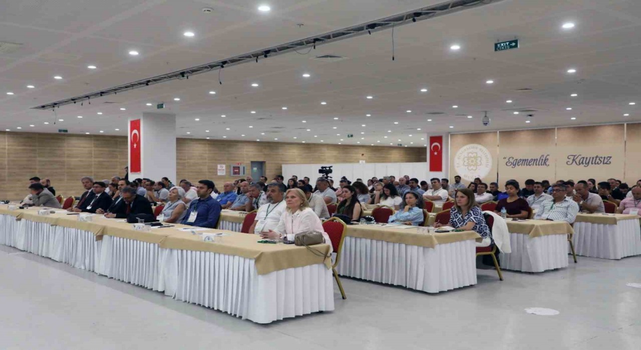 Muğlada şehir merkezlerine kadar inen yaban domuzlarına çare aranıyor