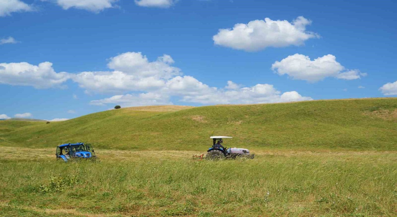 Muşta çiftçilerin ot biçme mesaisi başladı