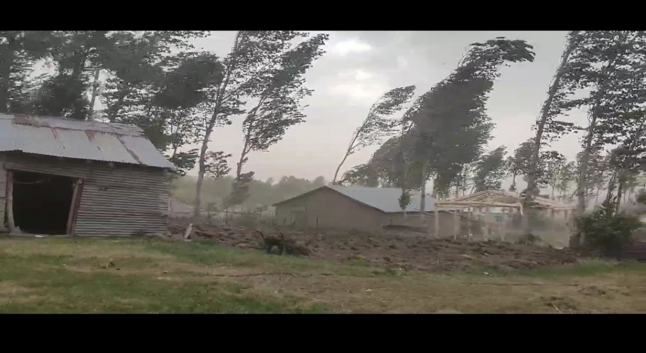 Muşta fırtına ağaçları ve elektrik direklerini devirdi