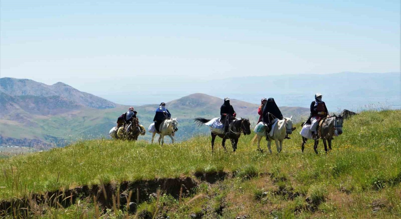 Muşta koyunları sağmak için at sırtında 8 kilometre yol kat ediyorlar