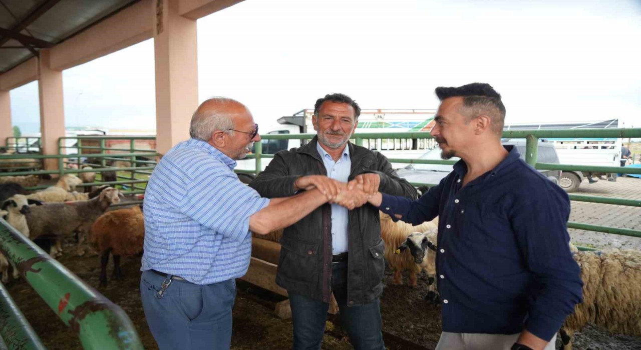 Muşta kurban pazarı hareketlendi: Sıkı pazarlıklar dikkat çekiyor