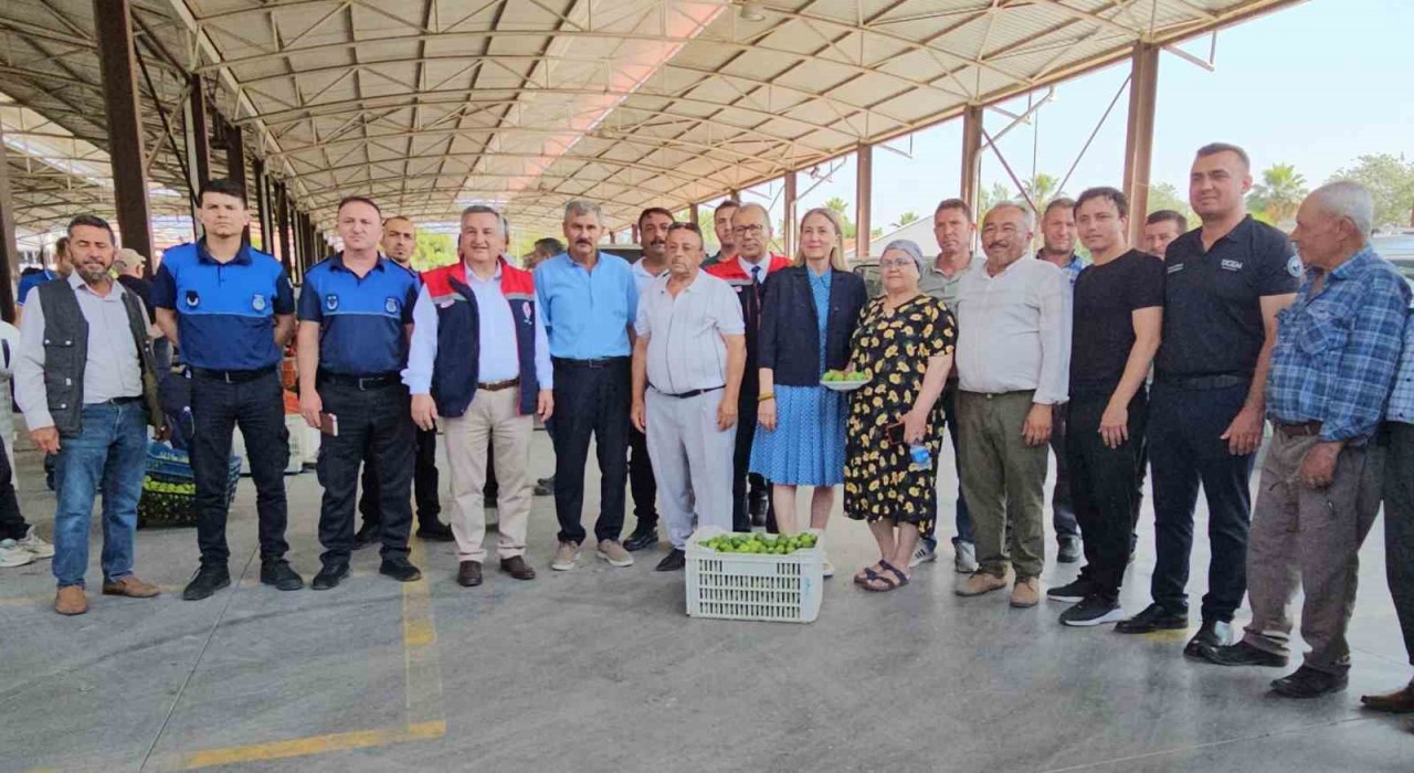 Nazillide kaliteli incir için kaliteli ilek denetimleri sürüyor