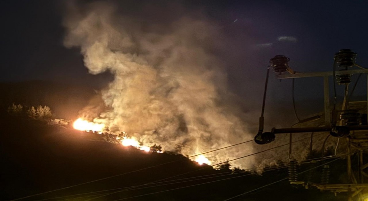 Nazillide orman yangını