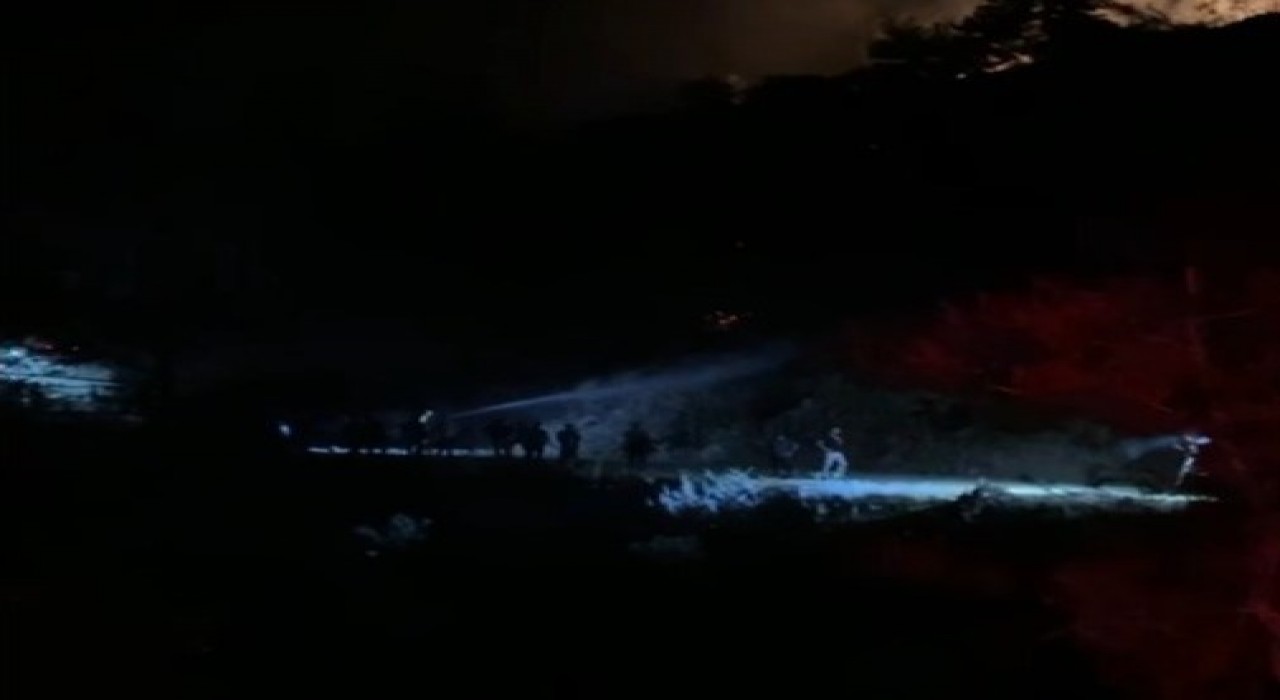 Nazillideki orman yangını kontrol altına alındı