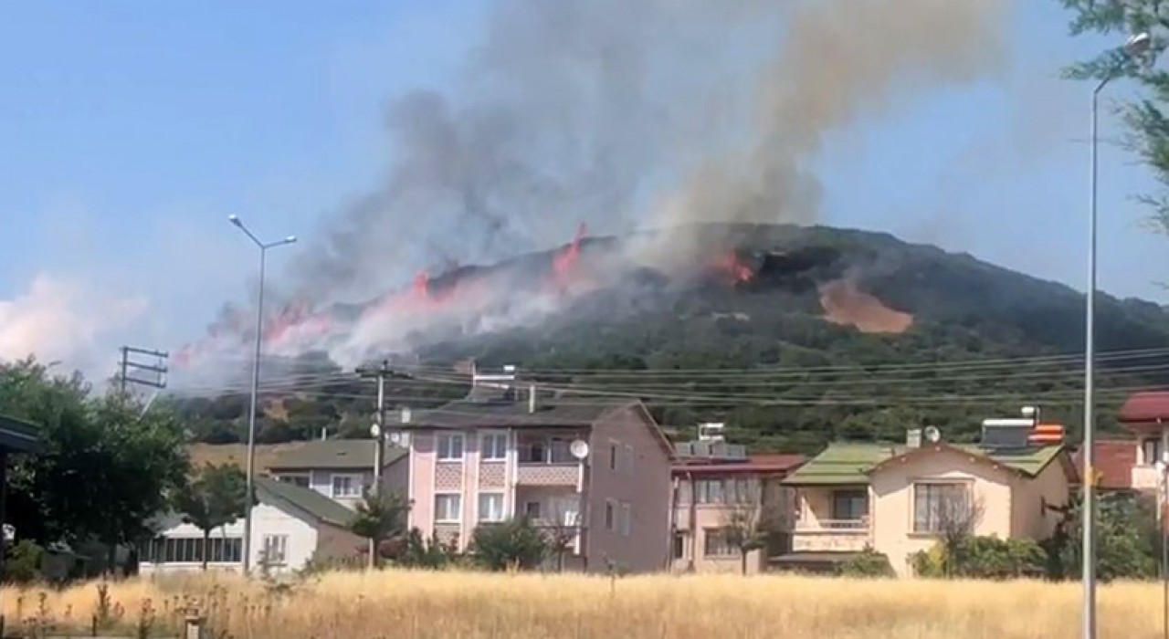 Niksarda orman yangını, ekiplerin müdahalesi sürüyor