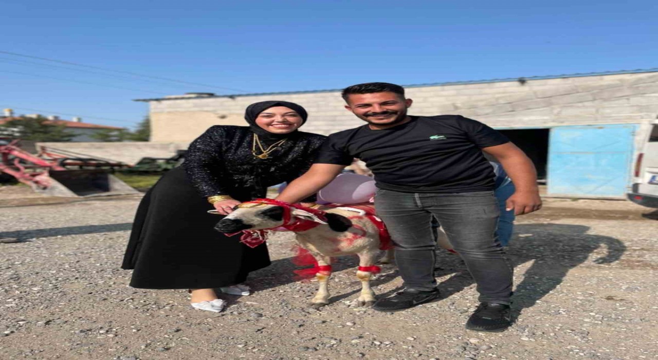 Nişanlısına süslediği koyunu hediye etti