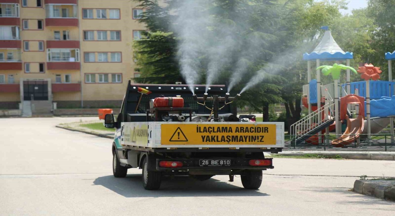 Odunpazarı Belediyesinden kenelere karşı etkili mücadele