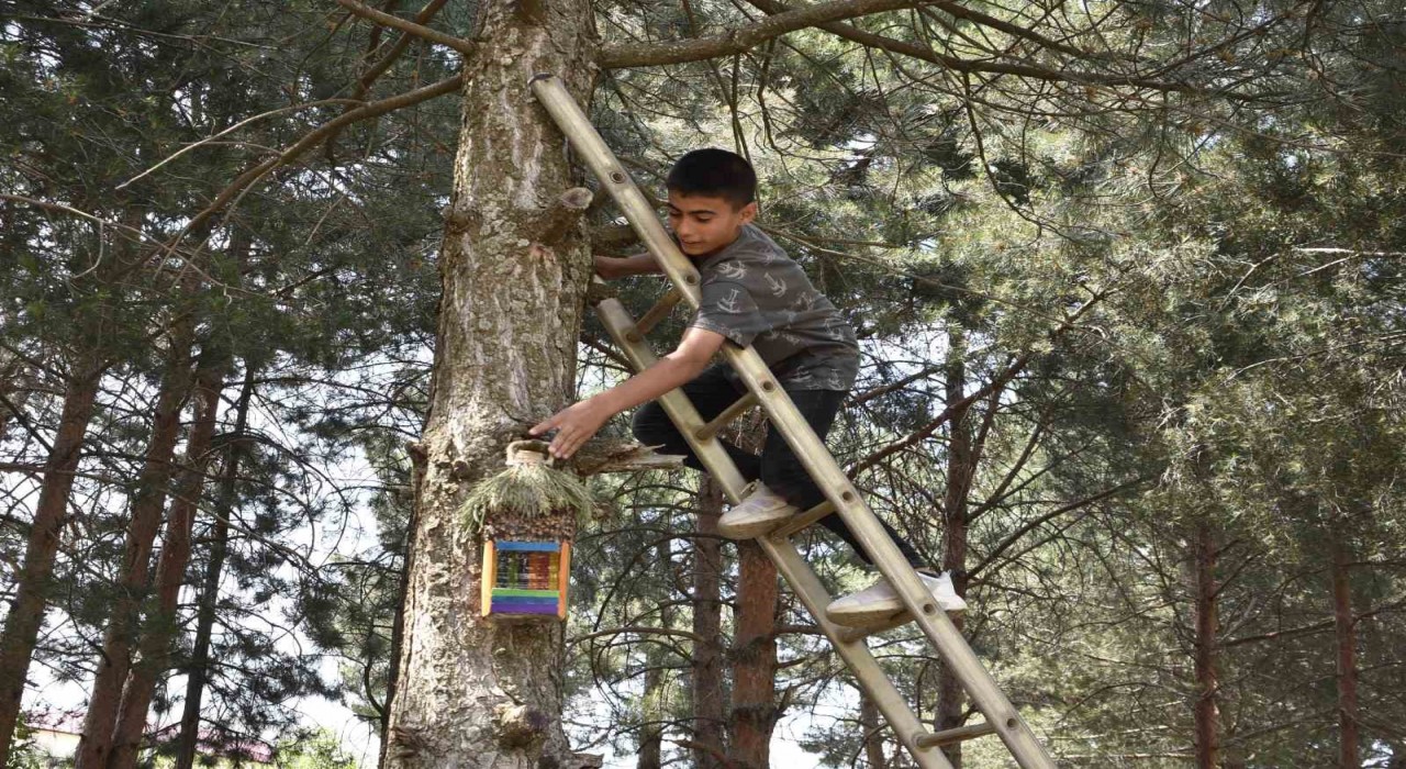 Öğrenciler atık su bidonlarından kuş yuvası yapıp millet bahçesine astı