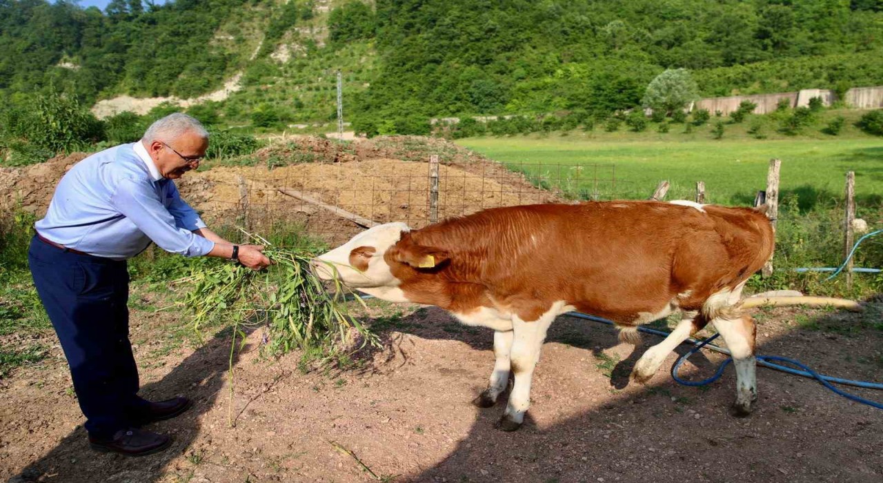 Orduda besicilerin yüzünü güldürüp, verimi arttıran destek