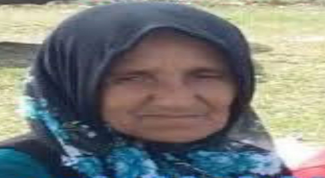 Orduda hafriyat kamyonunun çarptığı kadın hayatını kaybetti