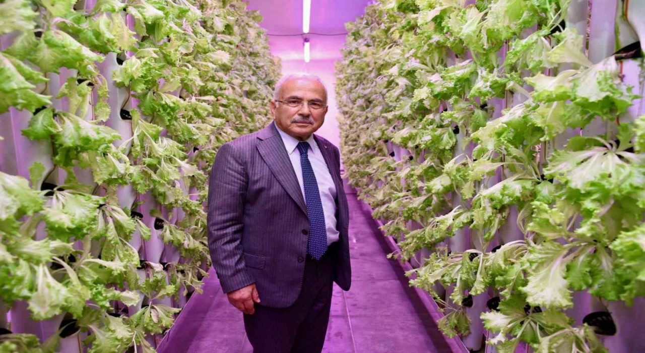 Orduda tarımda yeni dönem