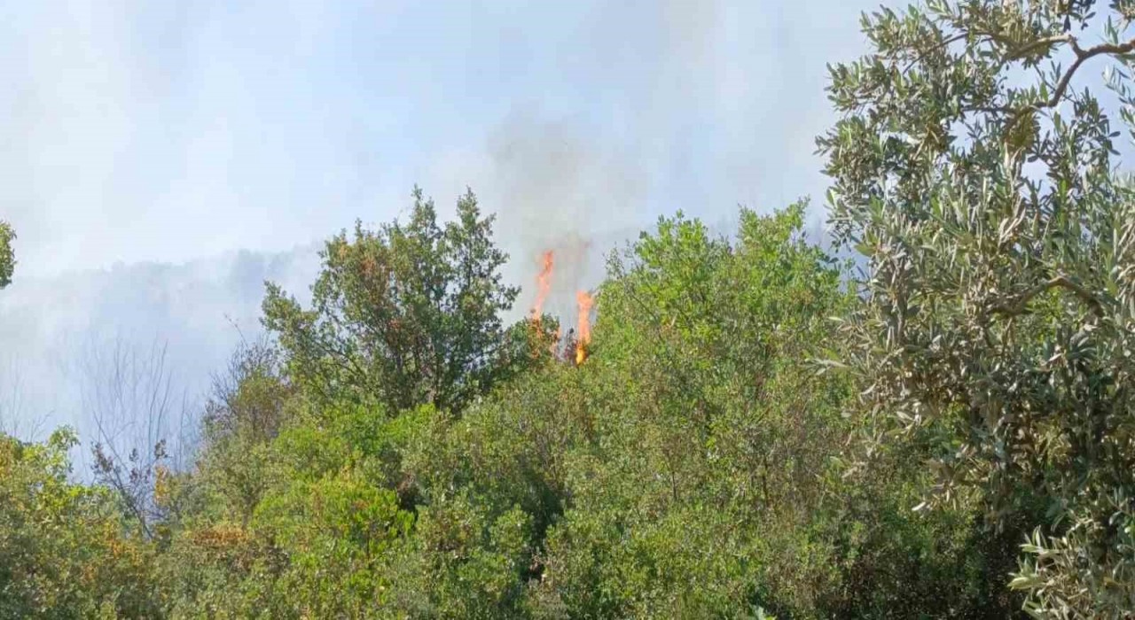 Orhangazideki yangına havadan ve karadan müdahale ediliyor