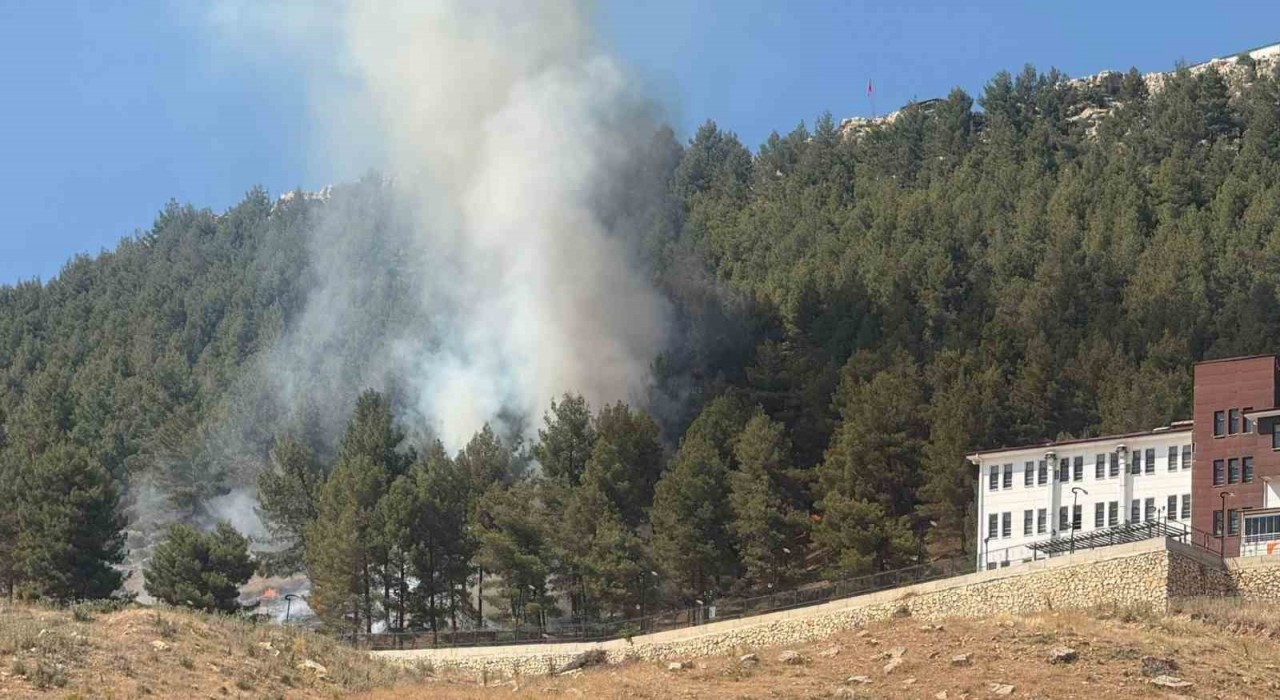 Ormanlık alanda çıkan yangın korkuttu