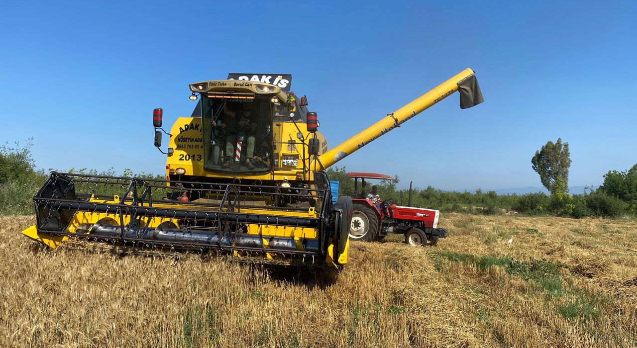 Osmaniye'de Buğday Hasadı Kuraklık ve Yağışlara Takıldı: Verim Yüzde 50 Düştü