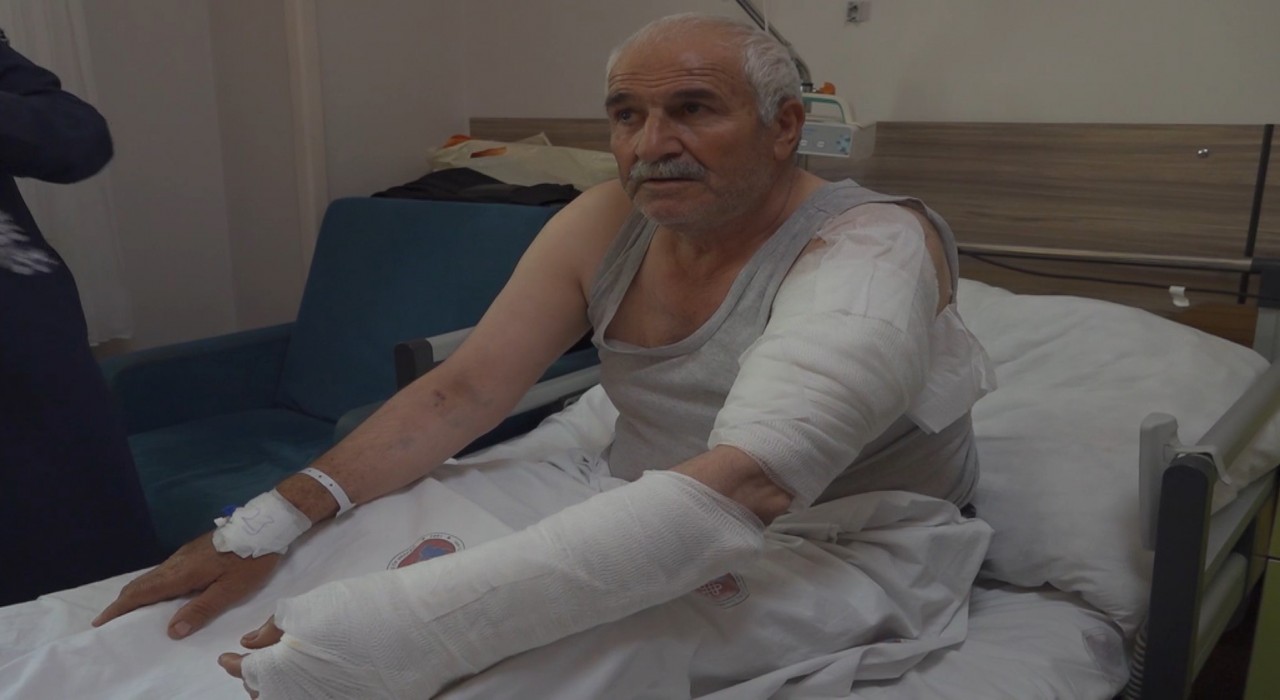 Ot biçen vatandaş kurdun saldırısına uğradı