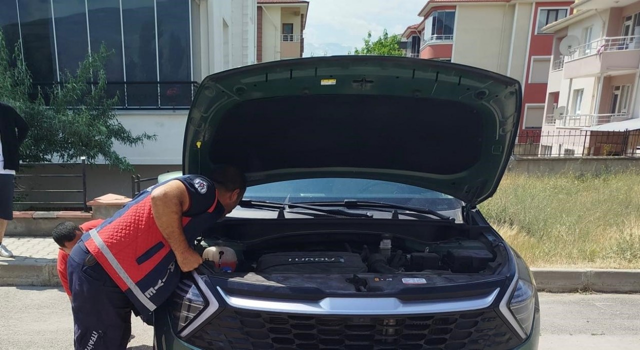 Otomobilin kaput kısmına sıkışan yavru kediler kurtarıldı