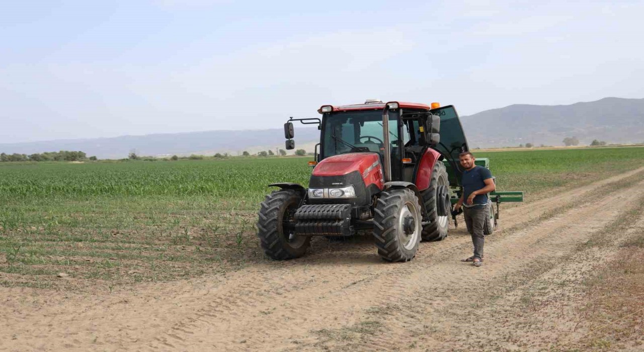 Pamuk üretim merkezi Büyük Menderes Ovasında kuraklık nedeniyle üretici mısıra yöneldi
