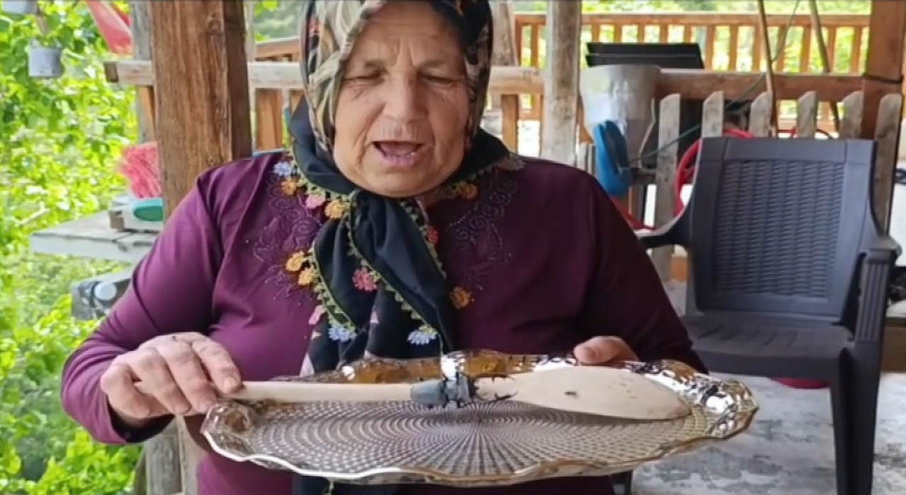 Parmak büyüklüğünde geyik göceği görüldü: Cezası 557 bin TL