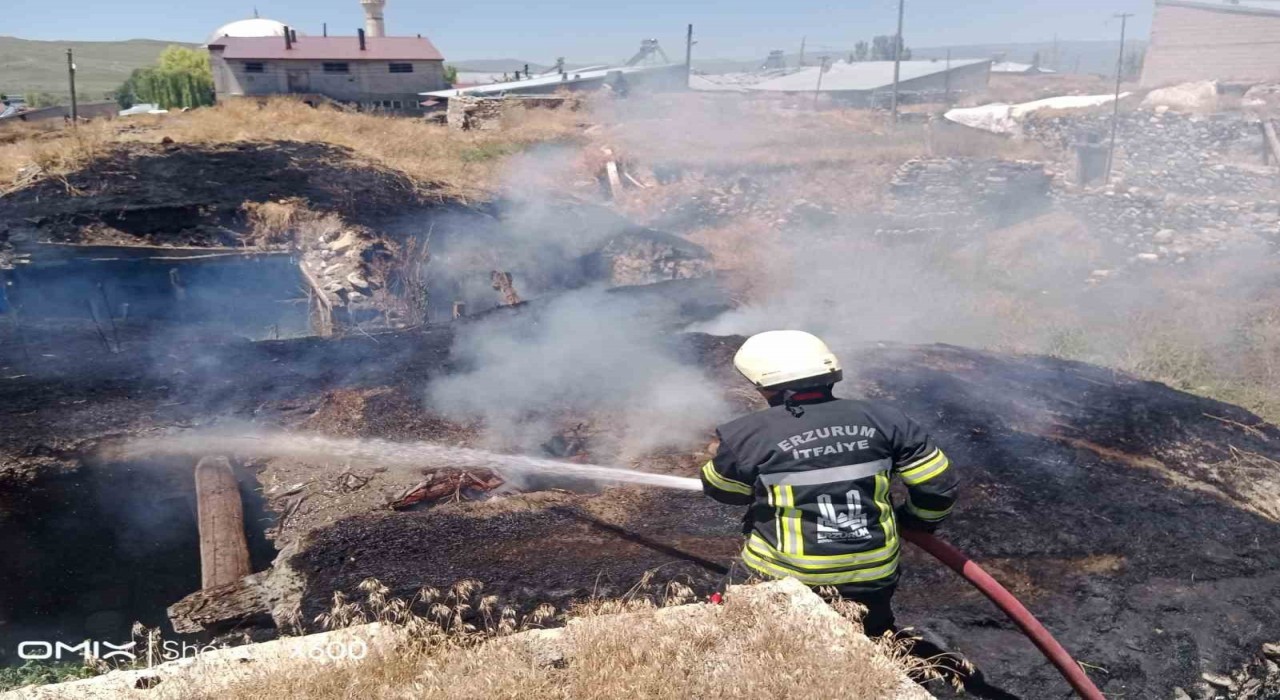 Pasinlerde ahır yangını