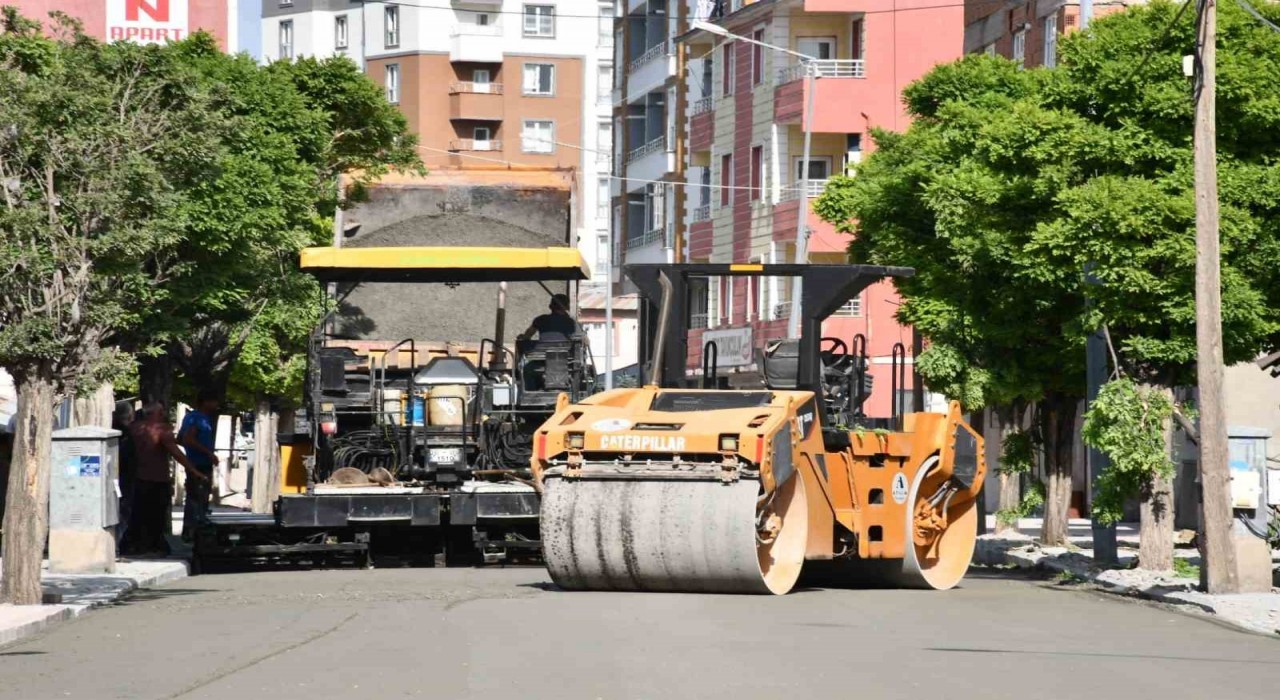 Patnosta yol çalışmaları başladı