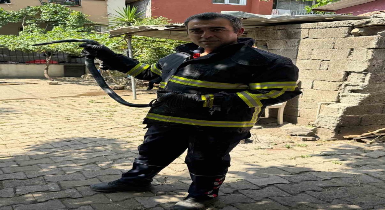 Payasta eve giren yılanı itfaiye yakaladı