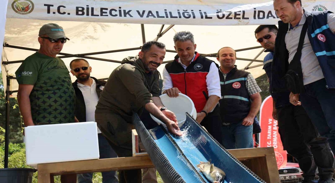 Pelitözü Göletine anaç sazan balığı salındı