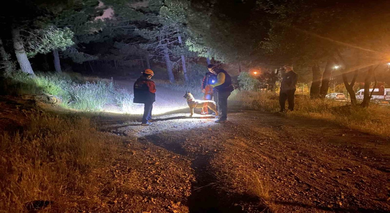 Pendikte ormana girdikten sonra haber alınamayan şahıs için arama çalışmaları başlatıldı