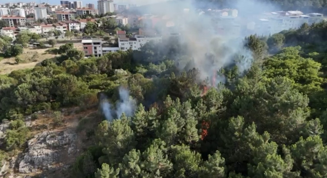 Pendikte ormanlık alanda çıkan yangın söndürüldü