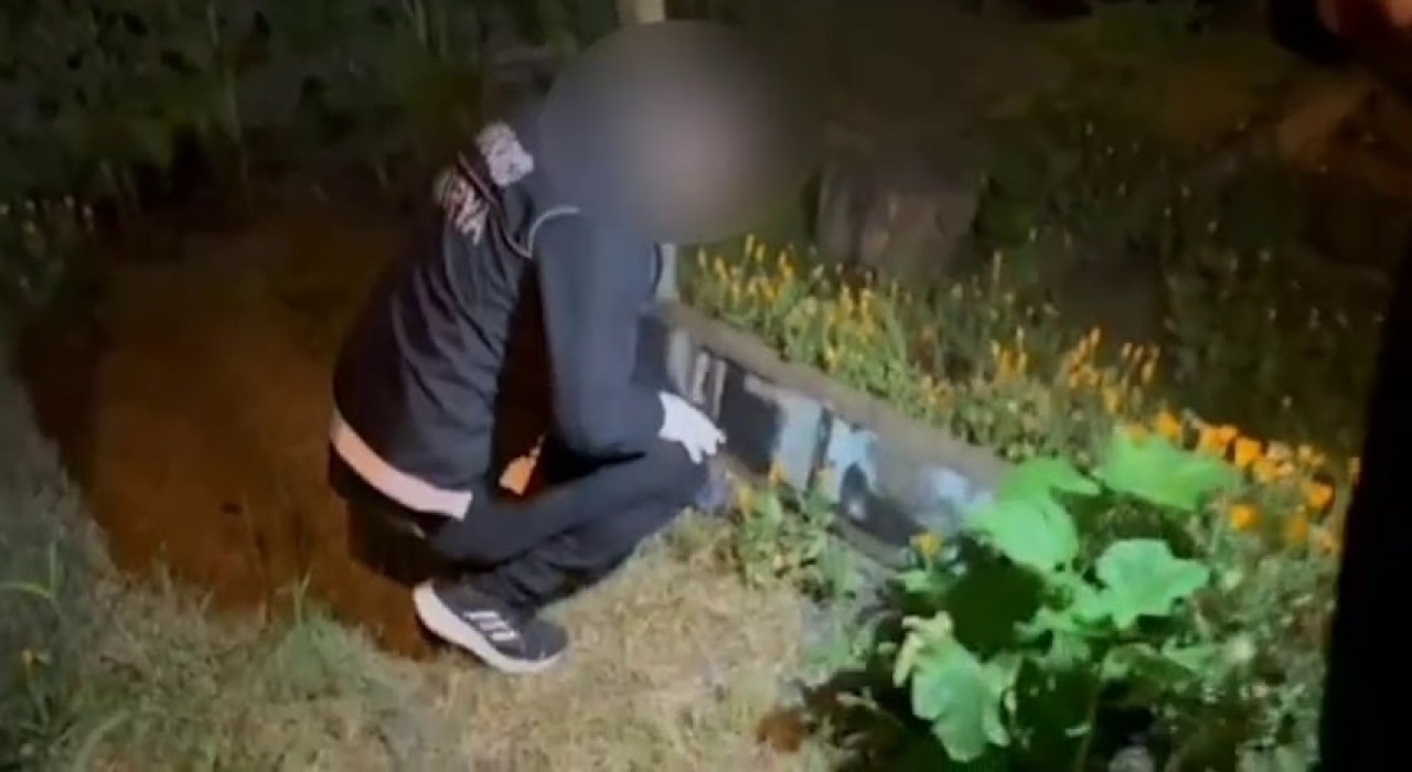 Polisten narkotik köpekli ve dronlu şafak operasyonu: 54 gözaltı