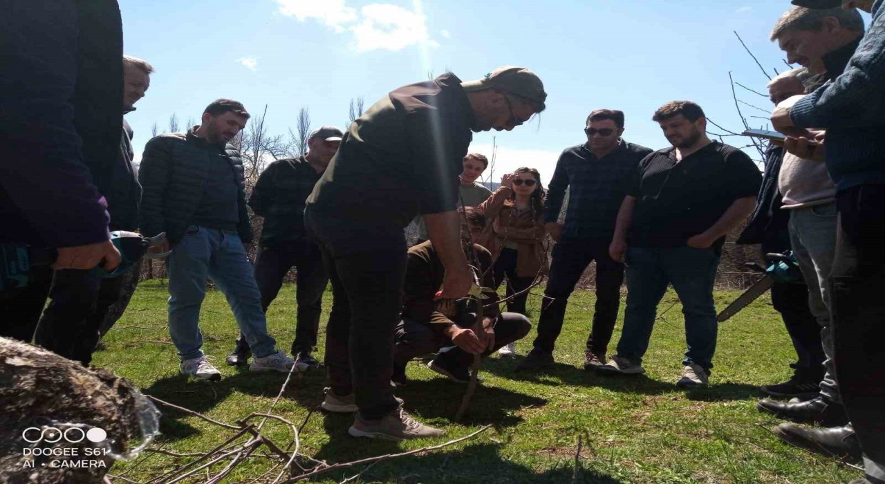 Posofta meyve ağaçlarını budama ve aşılama kursu düzenlendi
