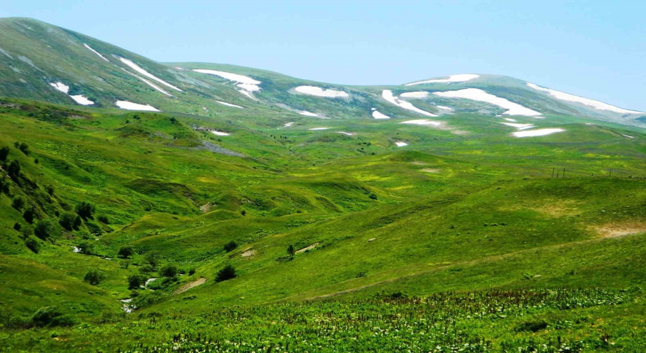 Posofta yayla mevsimi başladı