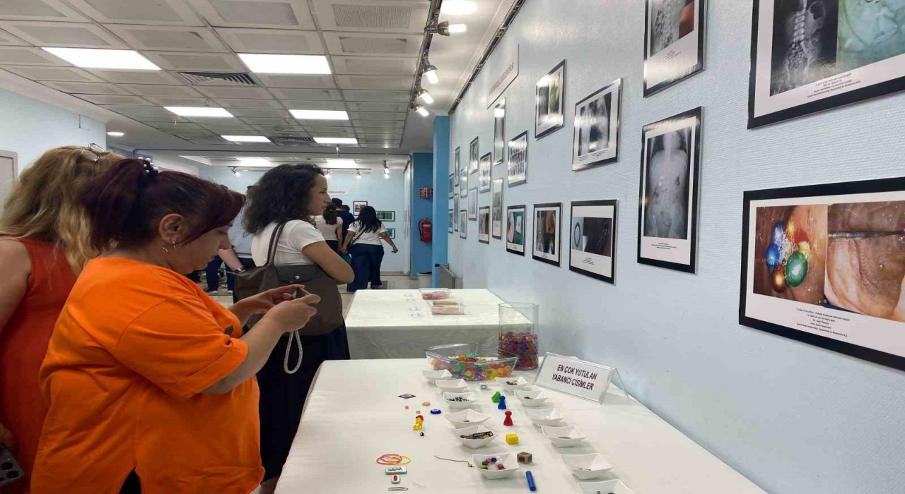 Prof. Dr. Dalgıç: Aileler, özellikle 8 ve 9uncu aylardan itibaren küçük maddeleri etrafta bulundurmamalılar