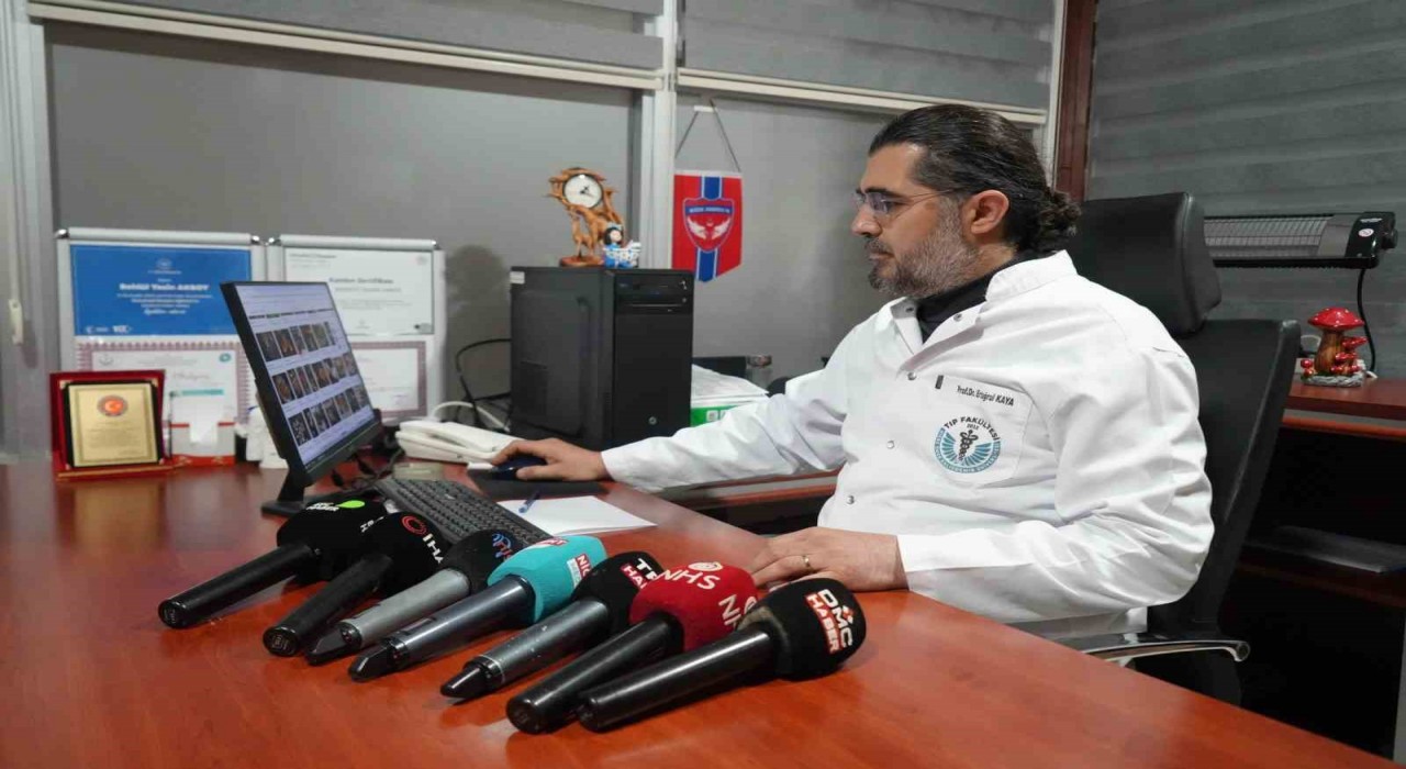 Prof. Dr. Kayadan zehirli mantar uyarısı: Doğadan toplanan mantarlar hayati risk taşıyor