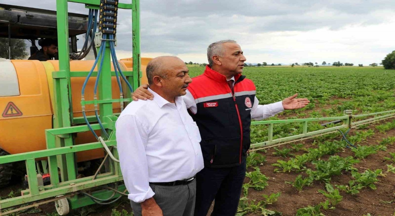 Sağlam: Çölleşmeye karşı toprağı iyi kullanmalıyız