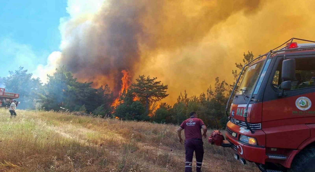 Sakarya Valiliğinde orman yangınına ilişkin açıklama