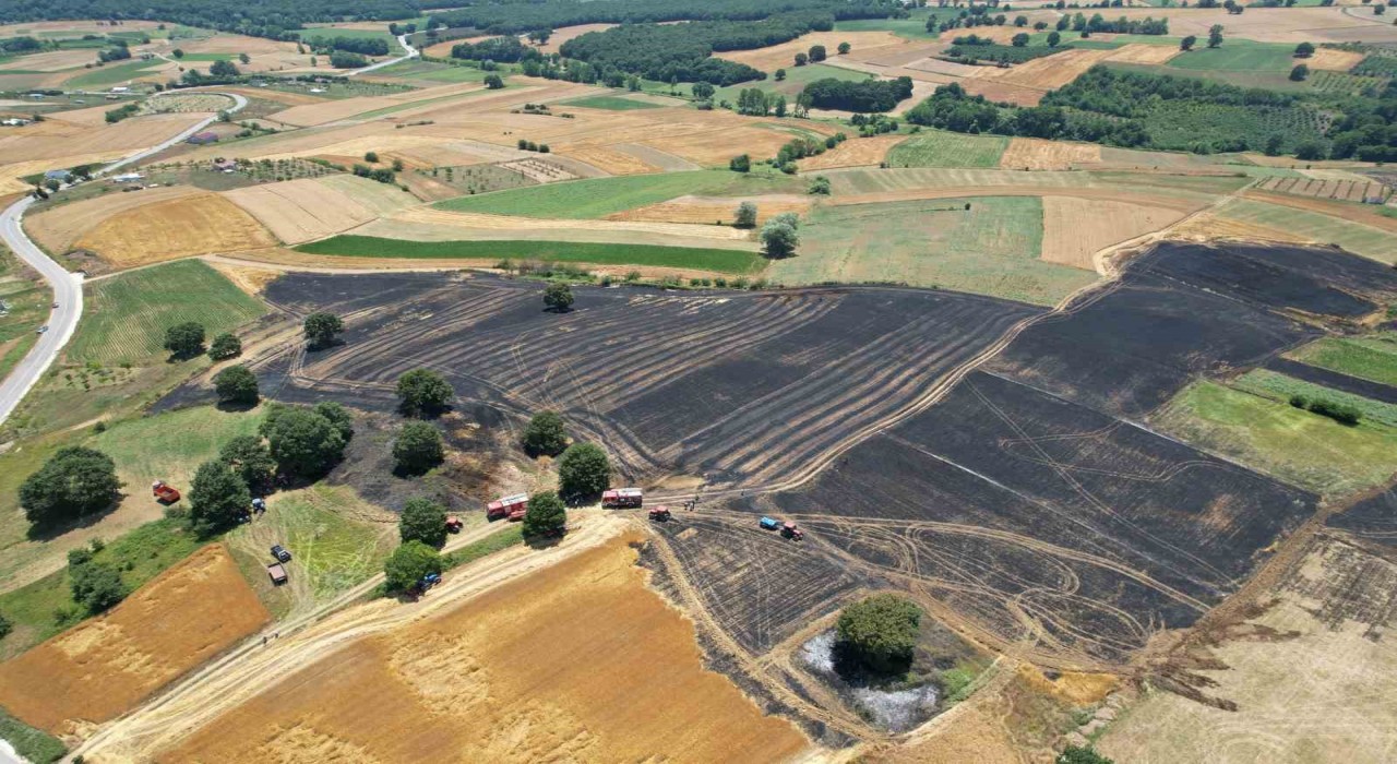 Sakaryada 150 dönümlük tarım arazisi kül oldu