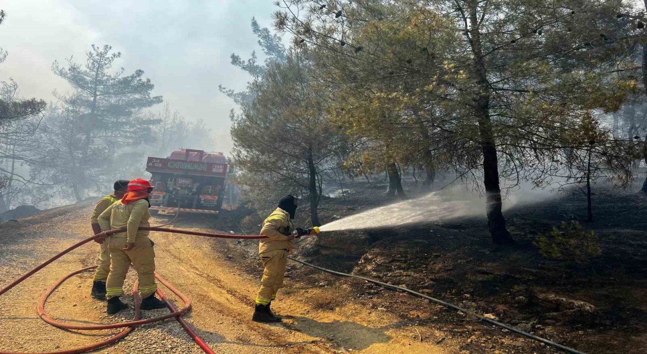 Sakaryada başlayan orman yangını Osmaneline de sıçradı
