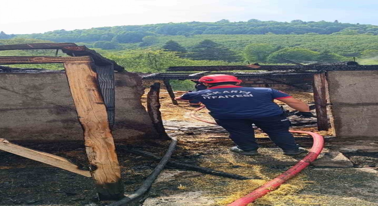 Sakaryada samanlık ve ahırda çıkan yangında 24 civciv telef oldu