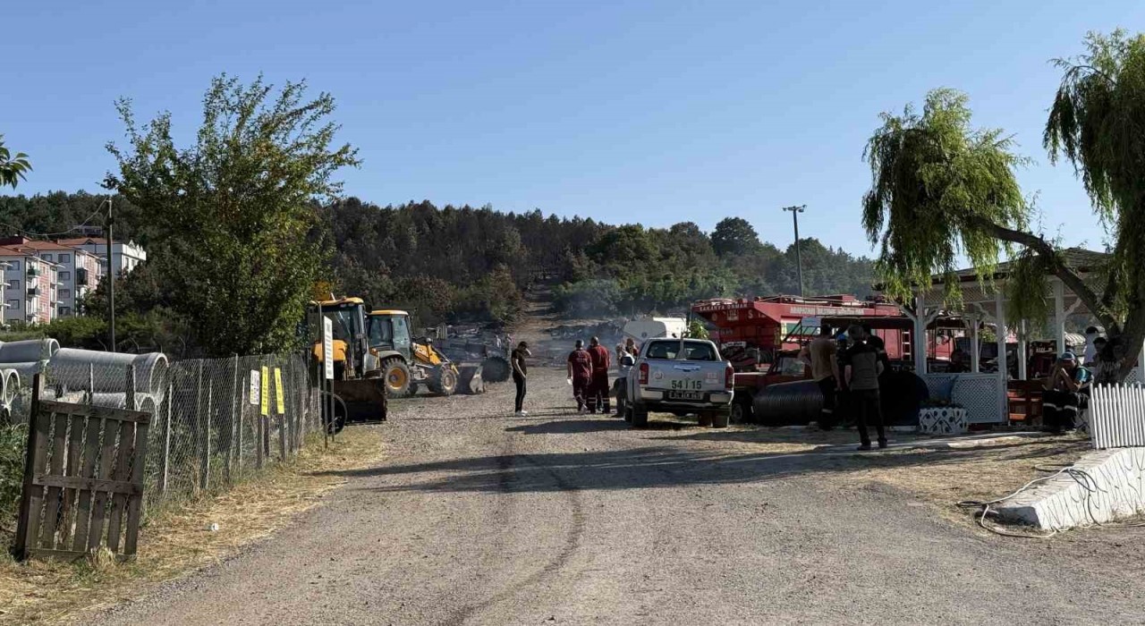 Sakaryadaki orman yangını kontrol altına alındı