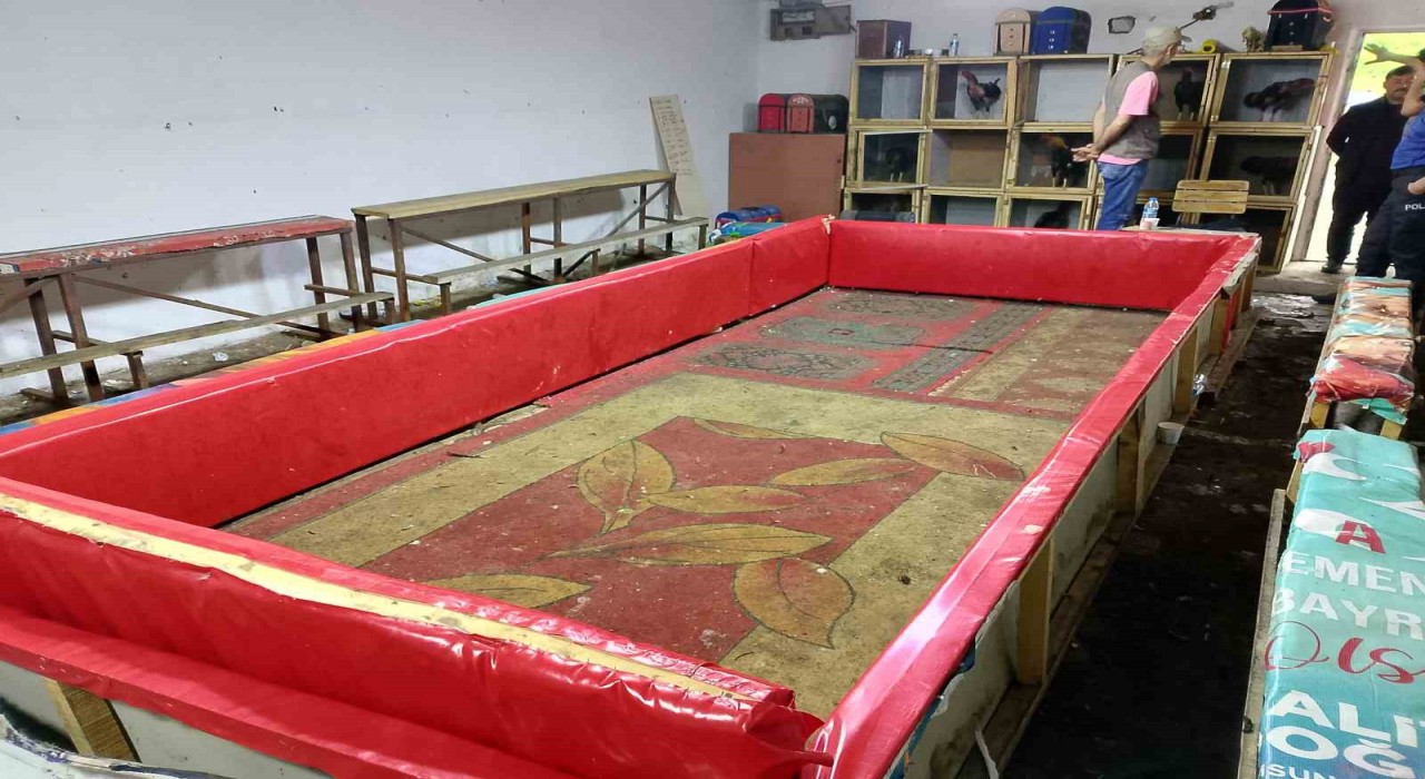 Samsunda horoz dövüşüne polis baskını: 129 bin 458 lira para cezası