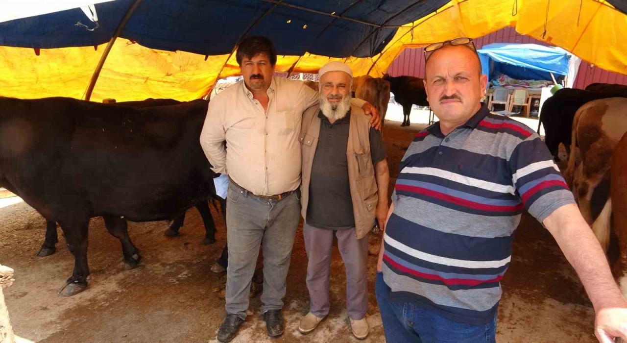 Samsunda kurban pazarında yüzler gülüyor: Hayvanlar elde kalmadı