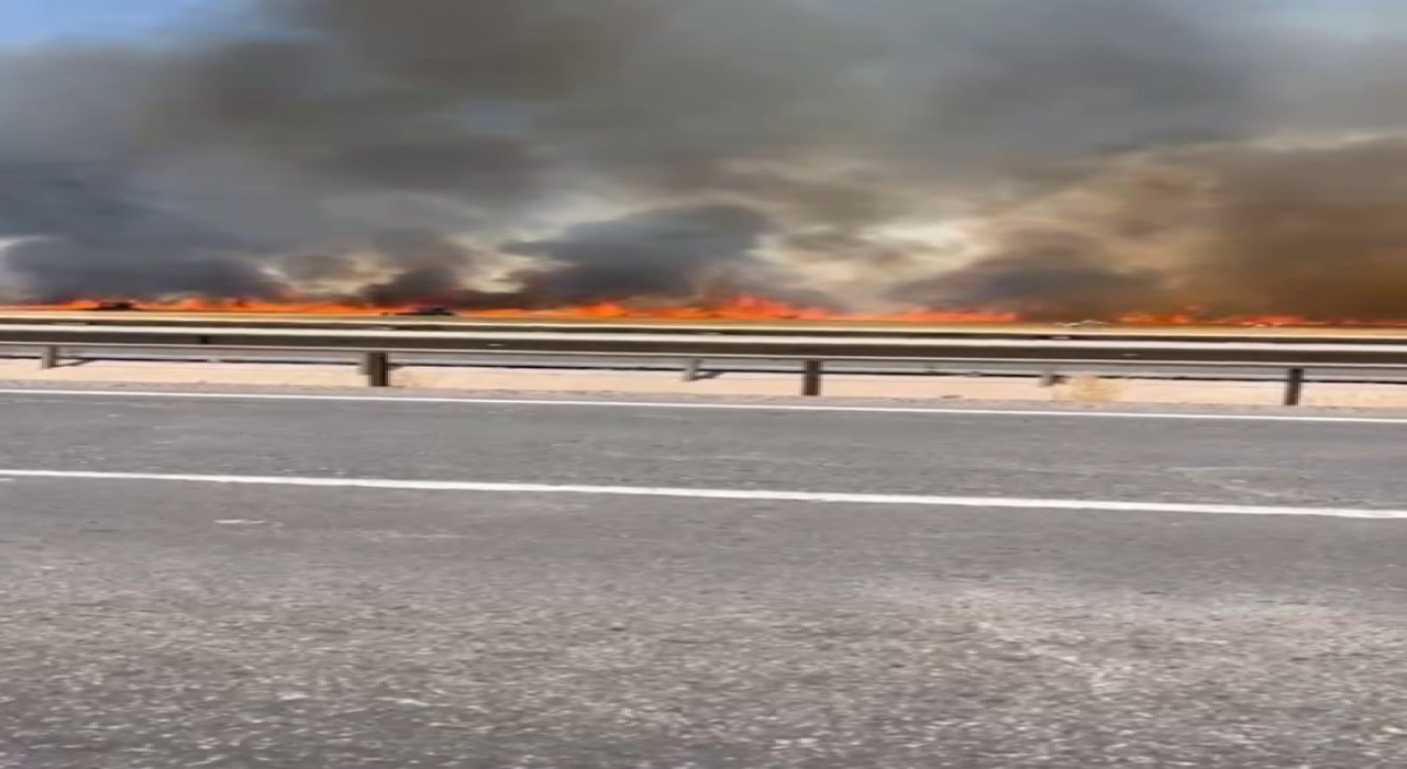 Şanlıurfada 100 dönümlük buğday tarlası küle döndü