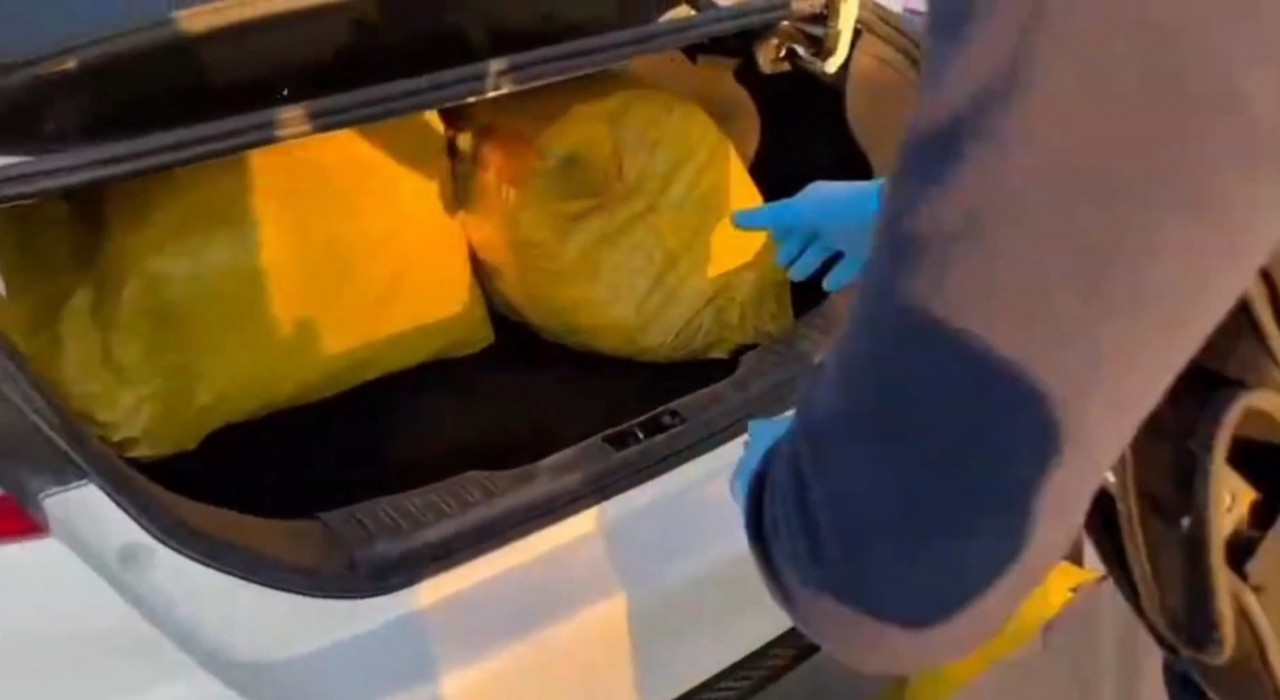 Şanlıurfada 35 kilogram skunk ele geçirildi: 1 gözaltı