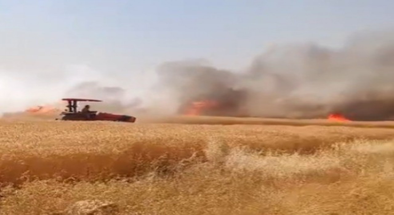 Şanlıurfada buğday tarlasında çıkan yangın kontrol altına alındı