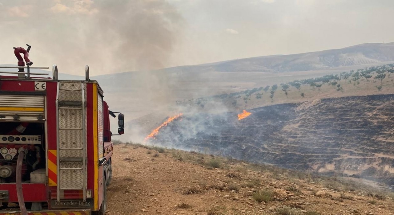 Şanlıurfadaki orman yangınına havadan ve karadan müdahale ediliyor