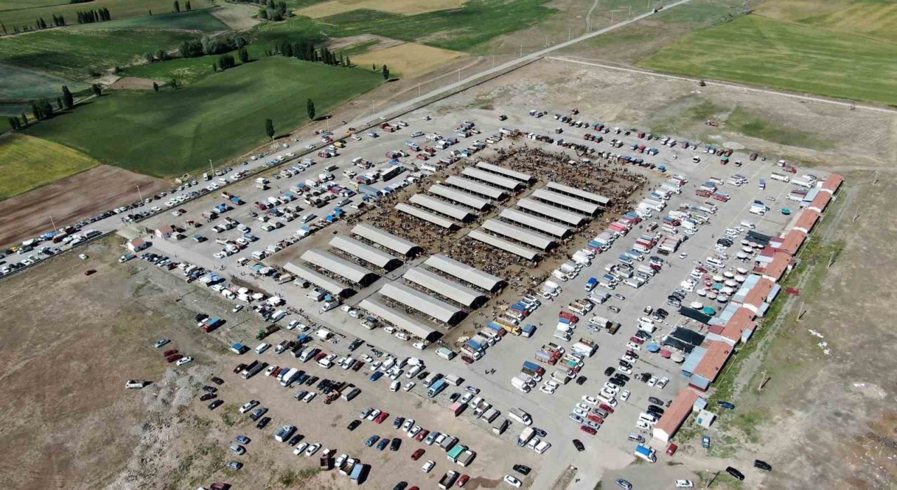 Şap hastalığı arttı, Sivasta hayvan pazarları kapatıldı