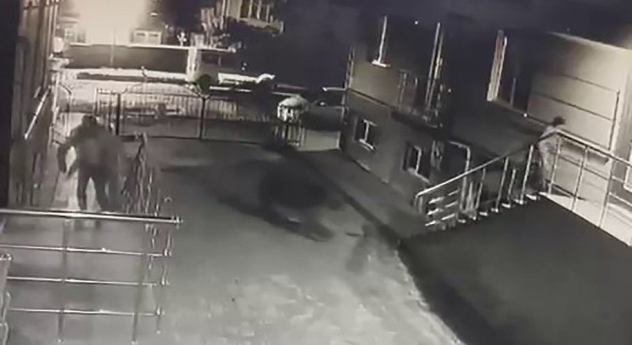 Sarıkamışta ayı vatandaşlardan, vatandaşlar ayıdan kaçtı
