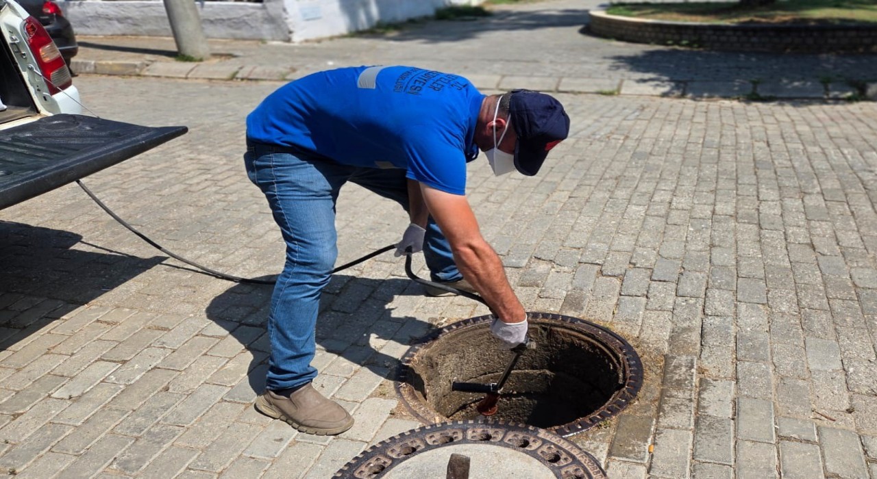 Şehri haşereler bastı, Efeler Belediyesi mücadele başlattı