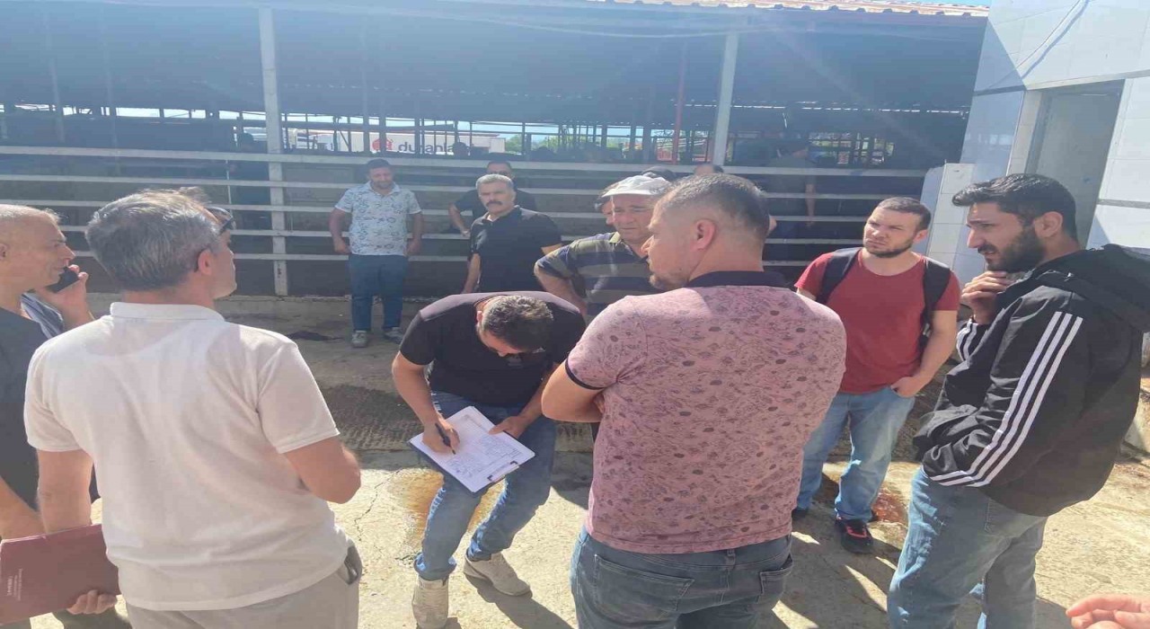 Sertifika alan 15 kursiyer Kurban Bayramında saha olacak